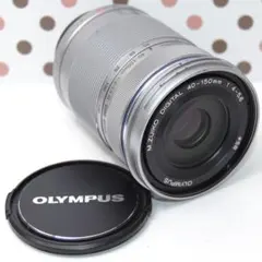 2026年最新】オリンパス E-P5の人気アイテム - メルカリ