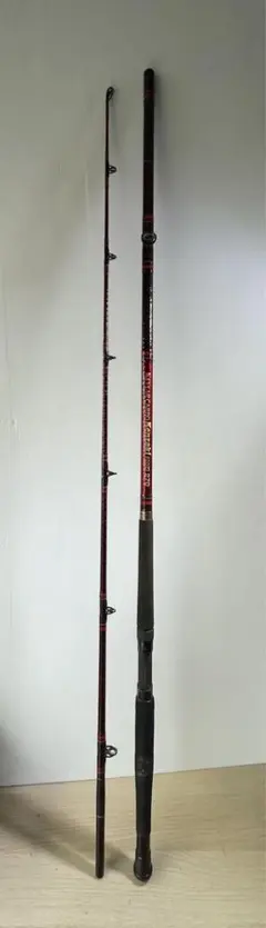 2026年最新】ダイワ 剣崎 200号の人気アイテム - メルカリ