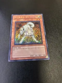 2026年最新】遊戯王 韓国 evの人気アイテム - メルカリ