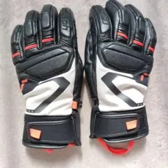 2026年最新】スキー グローブ ロイシュの人気アイテム - メルカリ