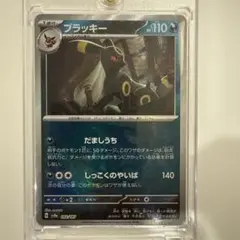 2026年最新】ブラッキー テラスタル マスターボールの人気アイテム