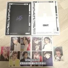 2026年最新】バンチャン go生の人気アイテム - メルカリ