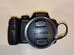 2026年最新】LUMIX FZ100の人気アイテム - メルカリ
