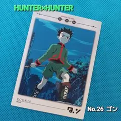 2026年最新】HUNTER×HUNTERカードダスマスターズ初版ゴンカードの人気