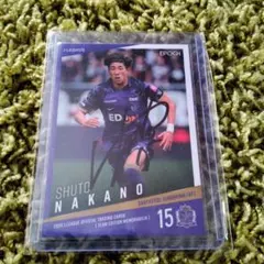 2026年最新】サンフレッチェ広島サイン入りグッズの人気アイテム