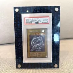 2026年最新】海馬セット ディスプレイの人気アイテム - メルカリ