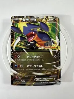 2026年最新】ポケモンカード ガブリアスEX 010/XY-P プロモの人気