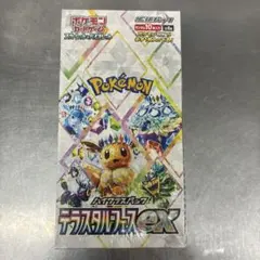 2026年最新】テラスタルフェス 1boxの人気アイテム - メルカリ