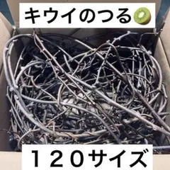 2026年最新】キウイの蔓の人気アイテム - メルカリ
