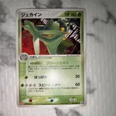 2026年最新】063/PCG-P ジュカインの人気アイテム - メルカリ