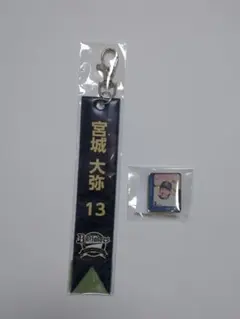 2026年最新】オリックス 宮城大弥の人気アイテム - メルカリ