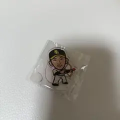 2026年最新】若鷹ガチャの人気アイテム - メルカリ