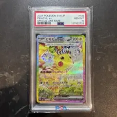 2026年最新】ピカチュウex psa10 sarの人気アイテム - メルカリ