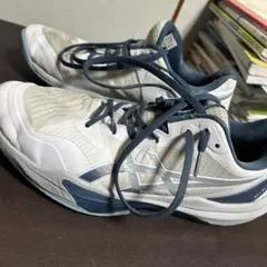 2026年最新】スカイエリートff3の人気アイテム - メルカリ