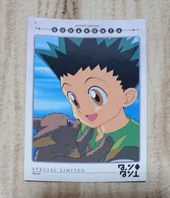 2026年最新】ハンター×ハンターカードダスマスターズの人気アイテム