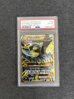 2026年最新】カイオーガex psa10の人気アイテム - メルカリ