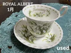 2026年最新】スノードロップ ロイヤルアルバートの人気アイテム - メルカリ