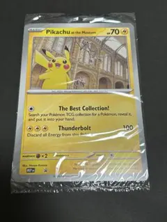 2026年最新】ロンドン ピカチュウの人気アイテム - メルカリ