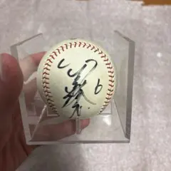 2026年最新】サインボール 金本の人気アイテム - メルカリ