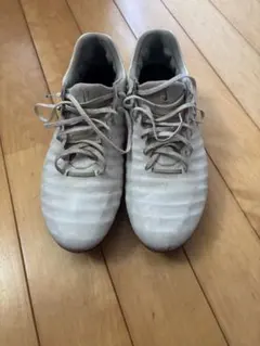 2026年最新】ティエンポ sgの人気アイテム - メルカリ