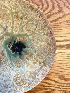 2026年最新】阪本健 鉢の人気アイテム - メルカリ