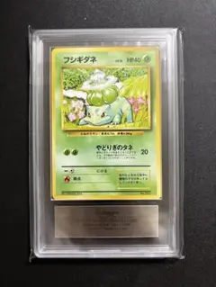 2026年最新】フシギダネ 旧裏 初版の人気アイテム - メルカリ