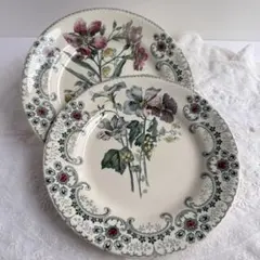 2026年最新】ショワジールロワ 切り花の人気アイテム - メルカリ