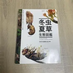 2026年最新】冬虫夏草生態図鑑の人気アイテム - メルカリ