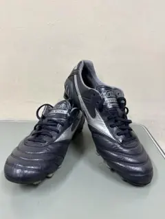 2026年最新】モレリアdna 25.5の人気アイテム - メルカリ