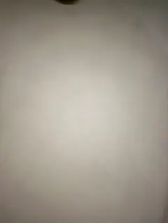 2026年最新】グラードン psa10の人気アイテム - メルカリ