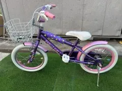 2026年最新】デューリーガールの人気アイテム - メルカリ