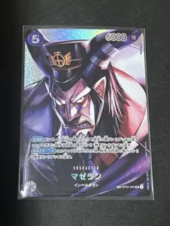 2026年最新】マゼランspの人気アイテム - メルカリ