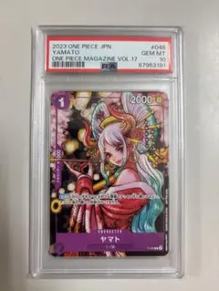 m51944315567_1.jpg?1770450313