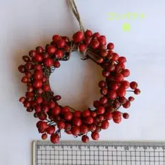 2026年最新】野ばらの実 リースの人気アイテム - メルカリ