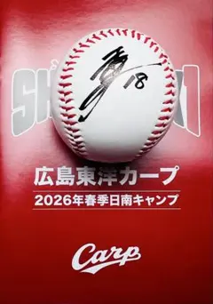 2026年最新】サイン 広島 森下の人気アイテム - メルカリ