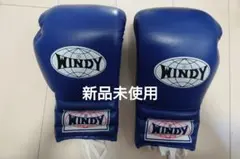 2026年最新】WiNDy グローブ 16の人気アイテム - メルカリ