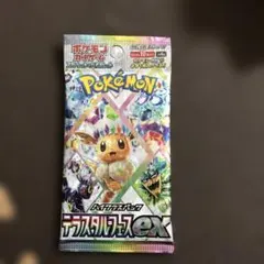 2026年最新】テラスタルフェスex BOXの人気アイテム - メルカリ