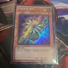 2026年最新】グローアップバルブ 英語の人気アイテム - メルカリ