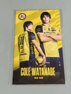 2026年最新】堺ブレイザーズの人気アイテム - メルカリ