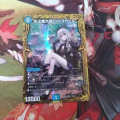 2026年最新】シャコガイルbの人気アイテム - メルカリ