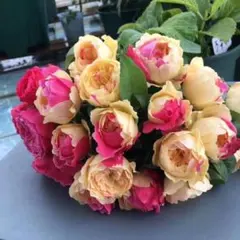 2026年最新】和バラの人気アイテム - メルカリ