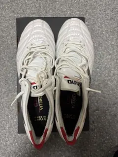 モレリアネオ3β 限定モデル シューキーパー付き 26.5 - メルカリ