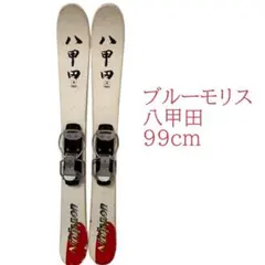 2026年最新】ブルーモリス ショートスキーの人気アイテム - メルカリ