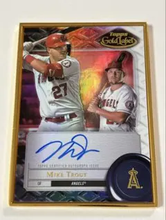 2026年最新】トラウト シリアルの人気アイテム - メルカリ