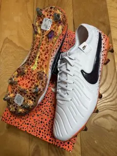 2026年最新】NIKE ティエンポ レジェンド 10 エリート sgの人気