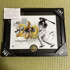 2026年最新】山川穂高 サイン入りの人気アイテム - メルカリ