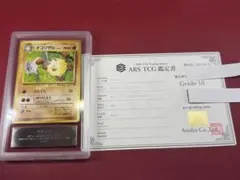 2026年最新】サザンアイランド psa10の人気アイテム - メルカリ