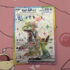 m66248456573_1.jpg?1768132487