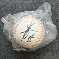 2026年最新】松井秀喜 レプリカ サインボールの人気アイテム - メルカリ