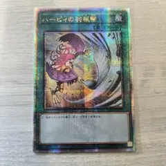 2026年最新】ハーピィの羽根帚 25の人気アイテム - メルカリ